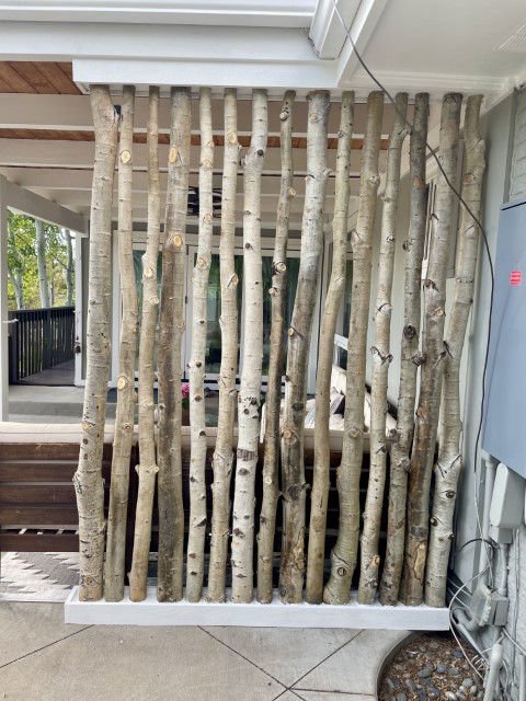decorative aspen poles installed in a patio